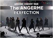 ANGERME CONCERT TOUR -The ANGERME- PERFECTION DVD Cover