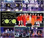 Hello! Project Hina Fes 2020 [ANGERME Premium] Blu-Ray Cover